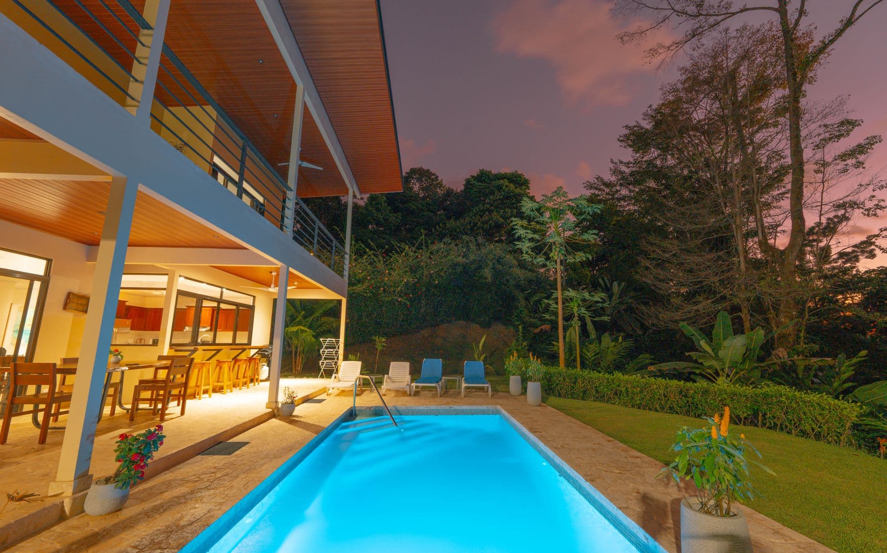 Ballena Bliss - Image 4