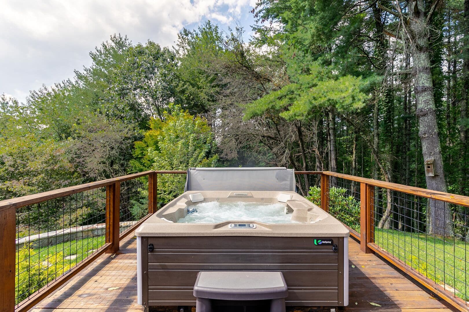 Papa's View - Image 4