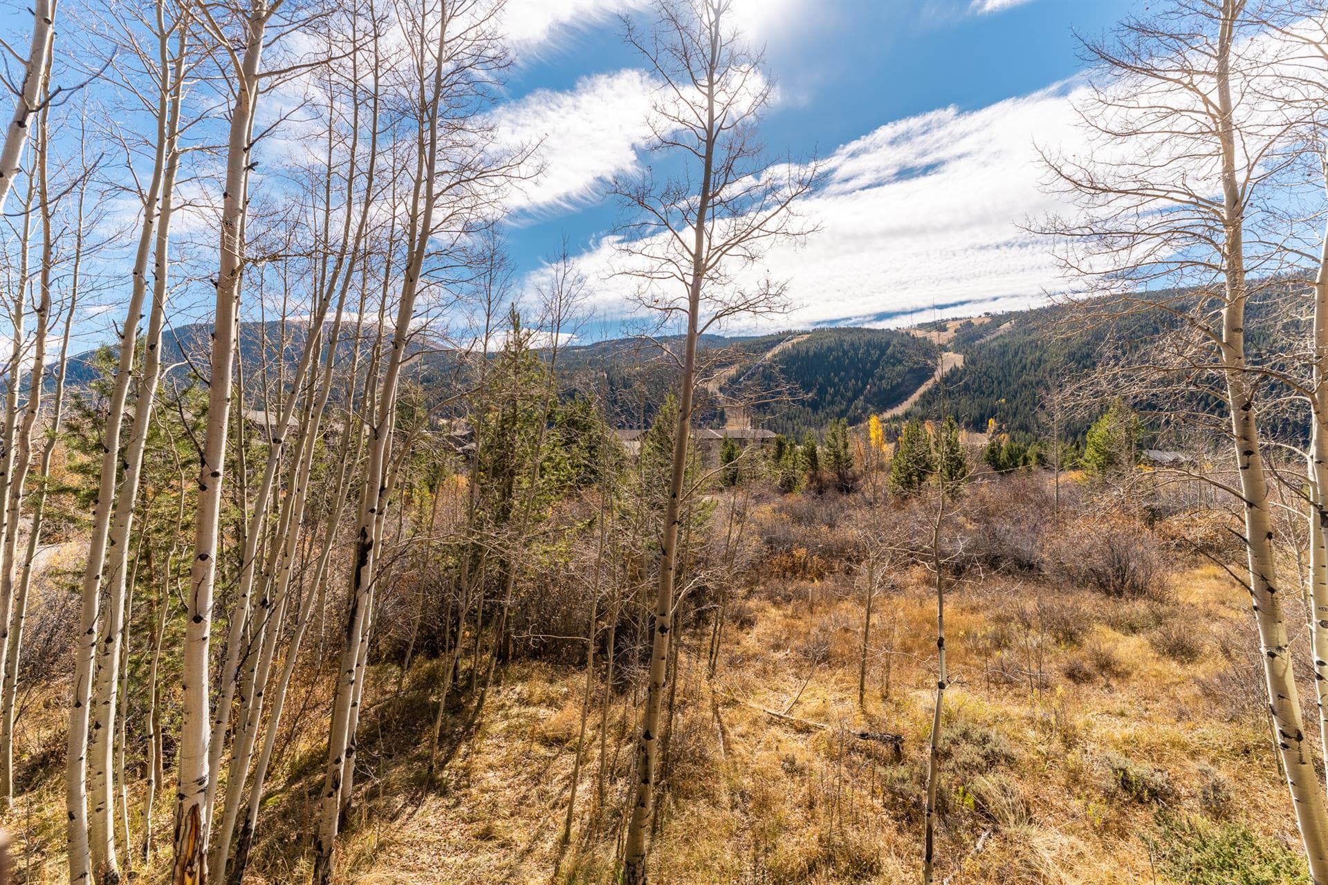 Caravelle Home - Image 11