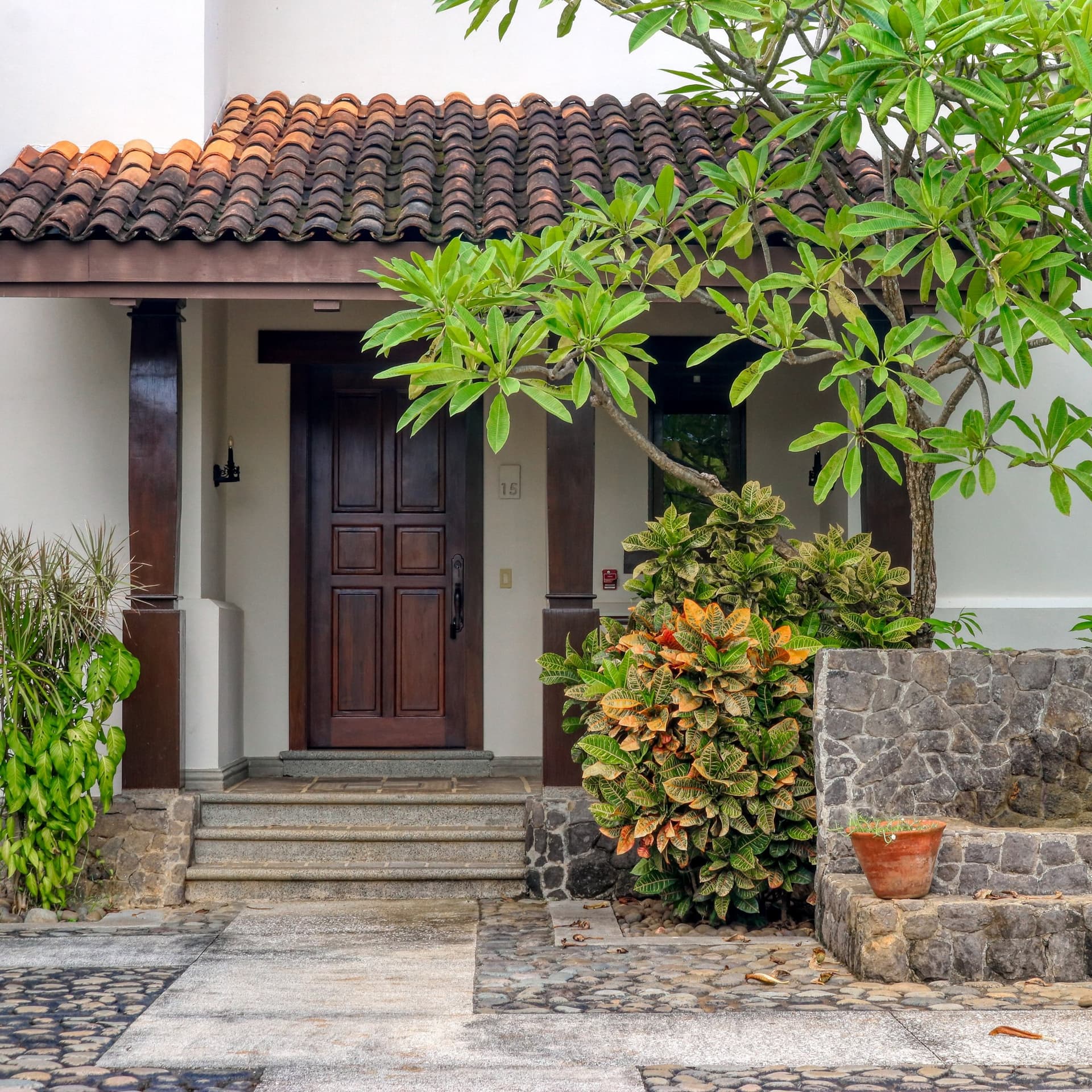 Pinilla Flor de Malinche - Image 49