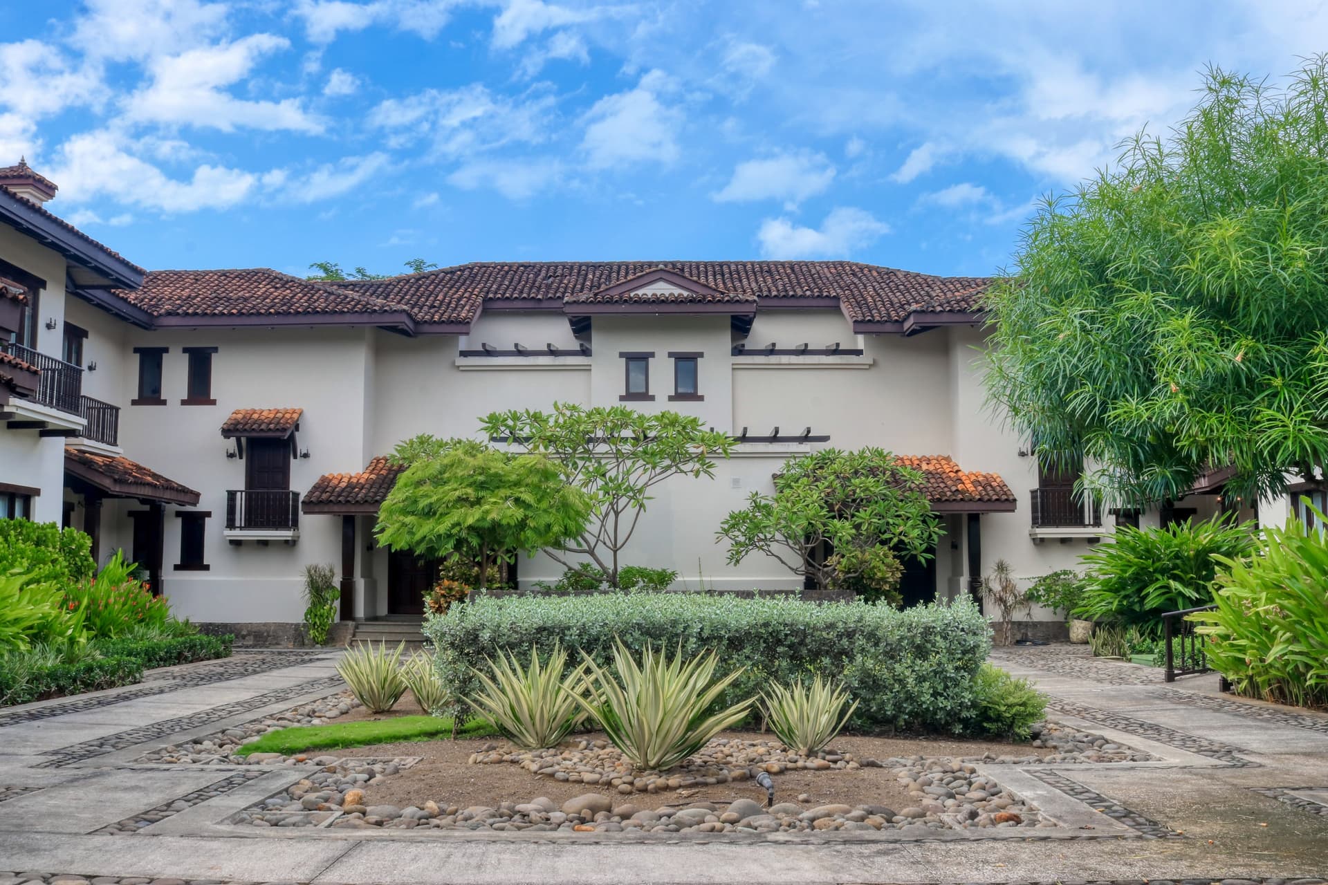 Pinilla Flor de Malinche - Image 2