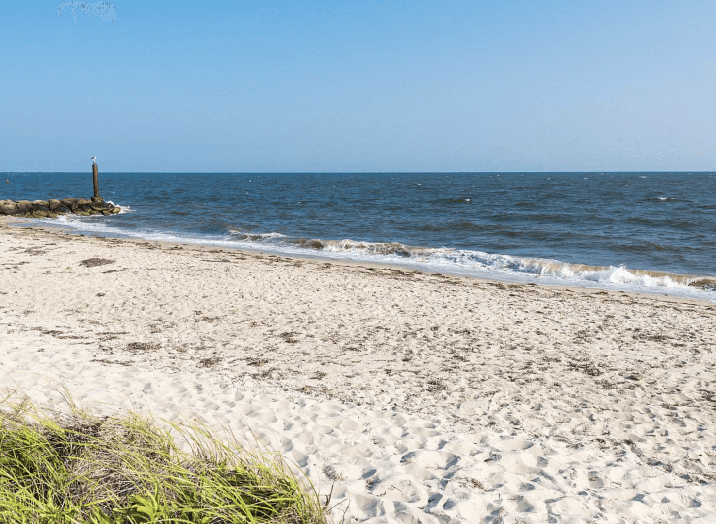 Shore Thing - Image 33