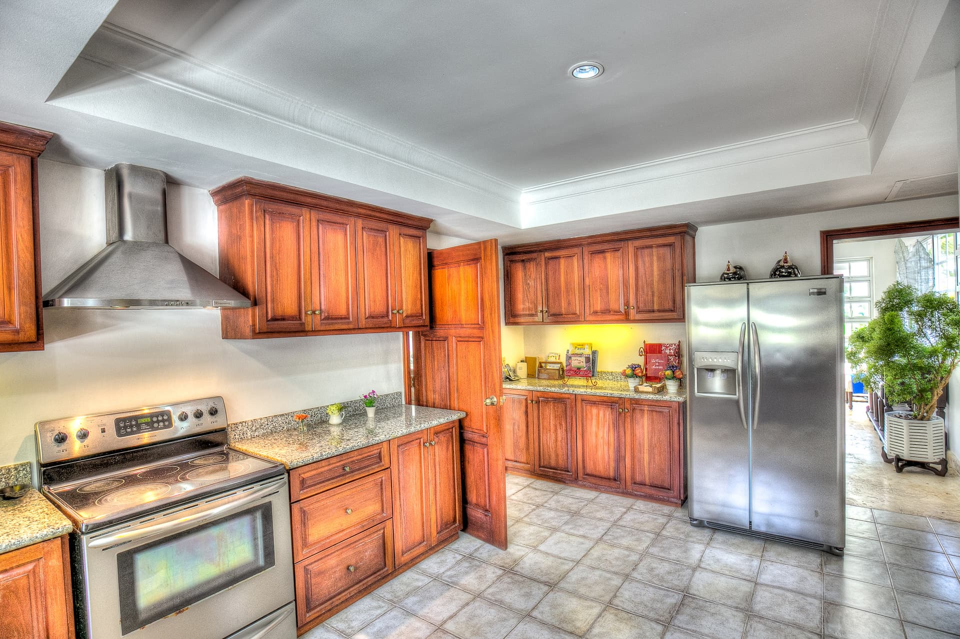 Tortuga Azul - Image 5