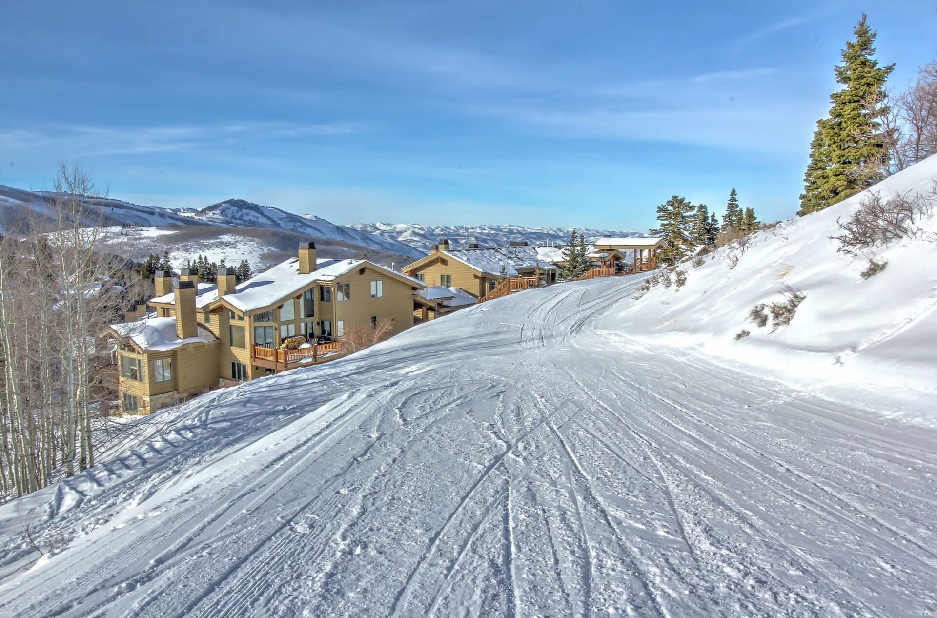 Double Eagle #3 - Image 35