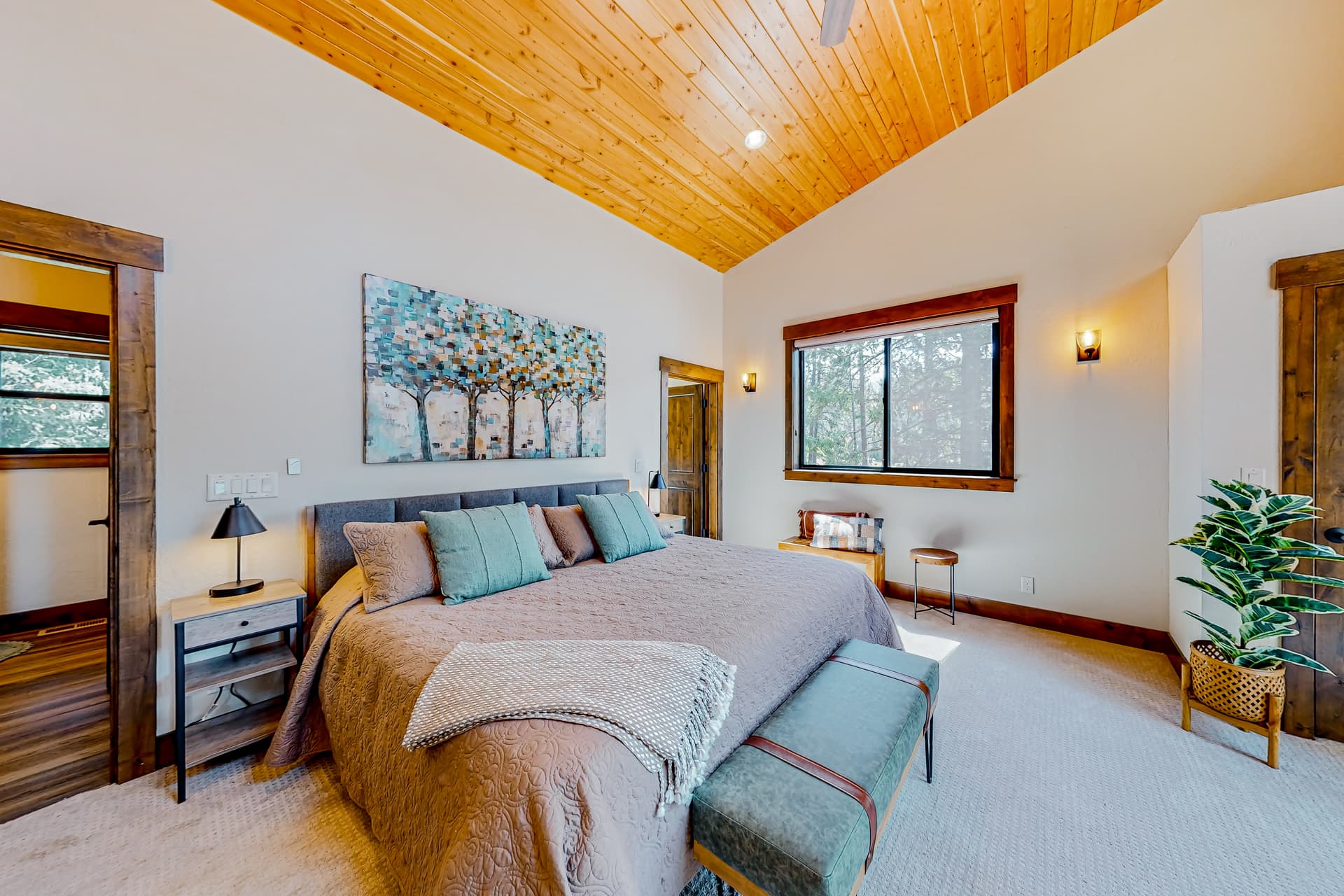 Leaning Pine Point at Half Round Bay - Image 11