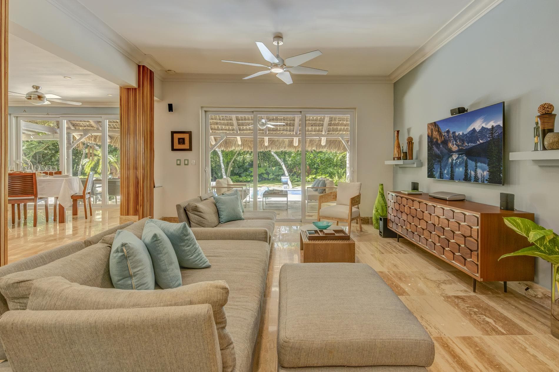 Tortuga #B55 - Image 4