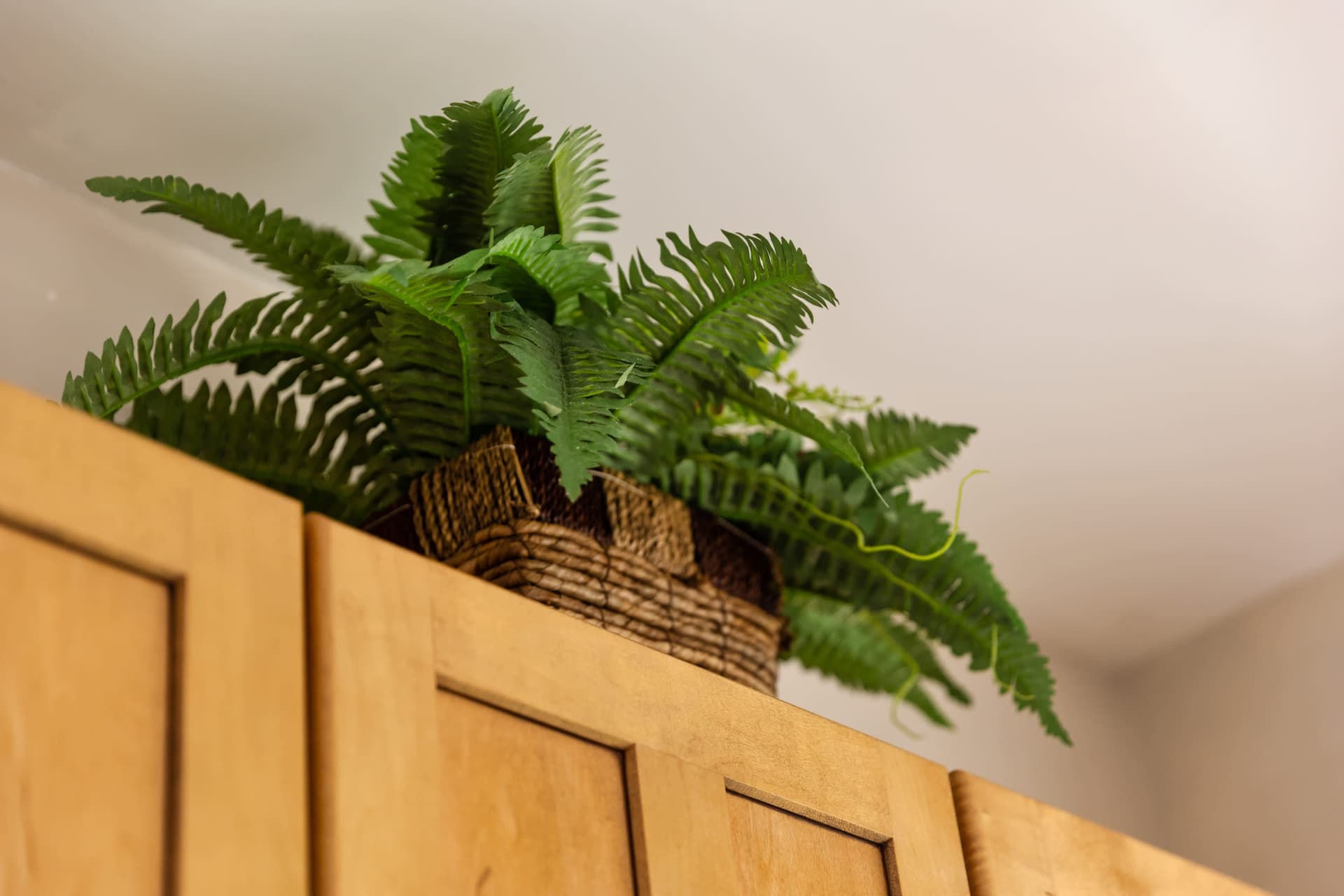 Lazy River Residence - Image 12