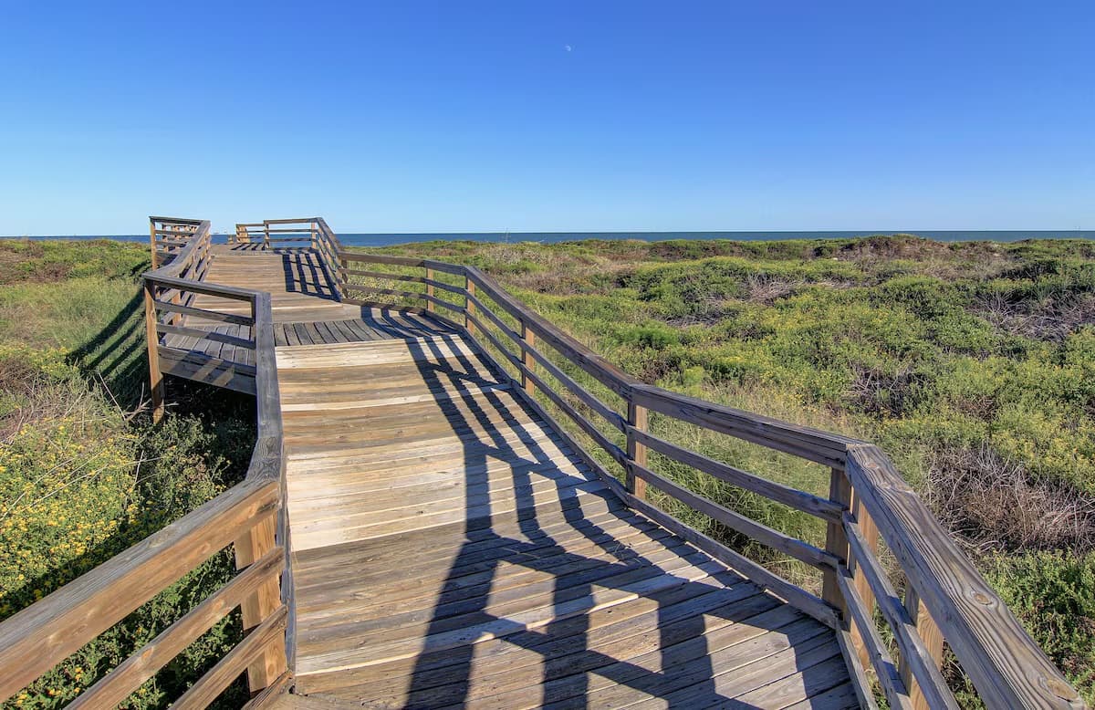 Postcard From Paradise - Image 2