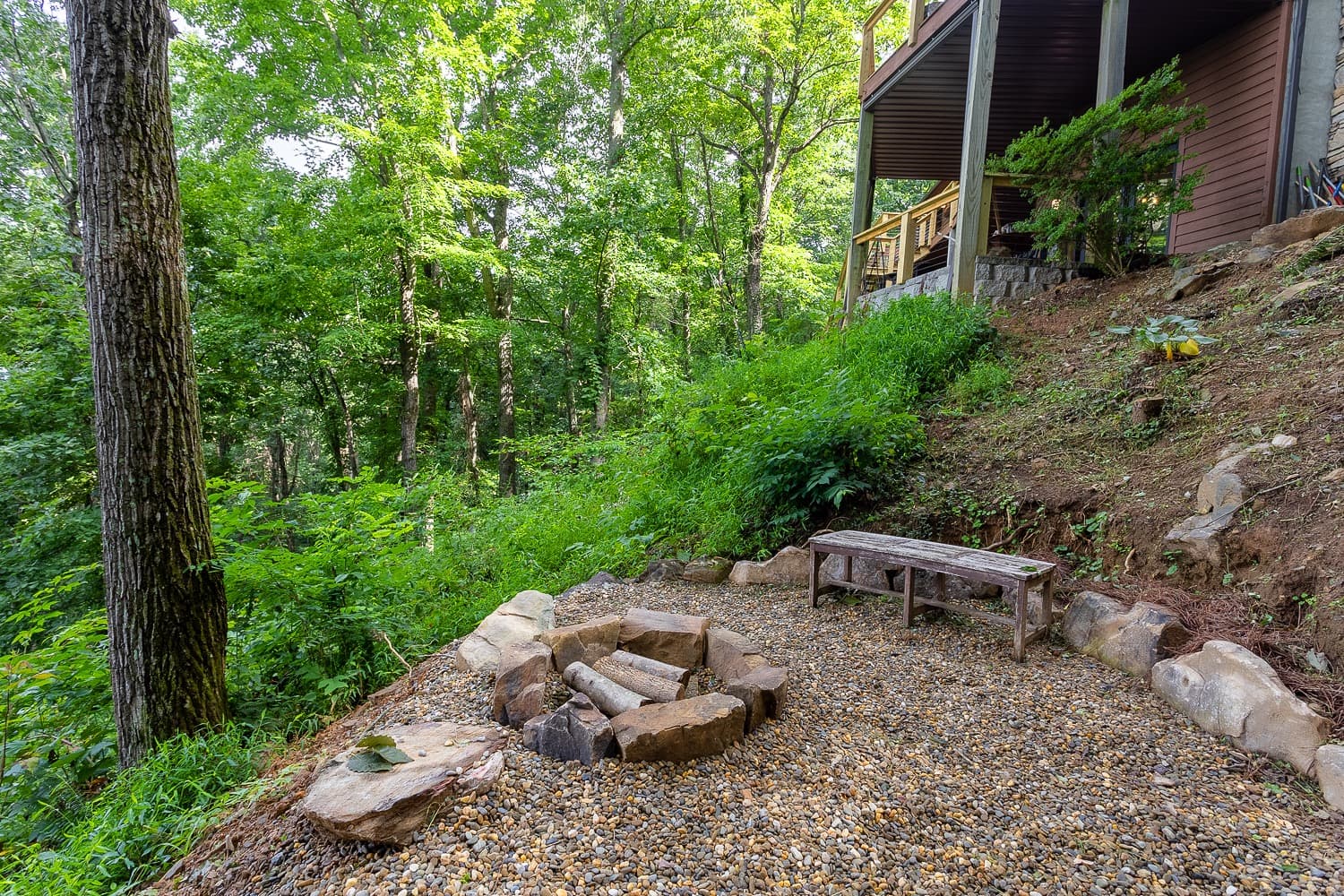 Views & Brews - Image 3