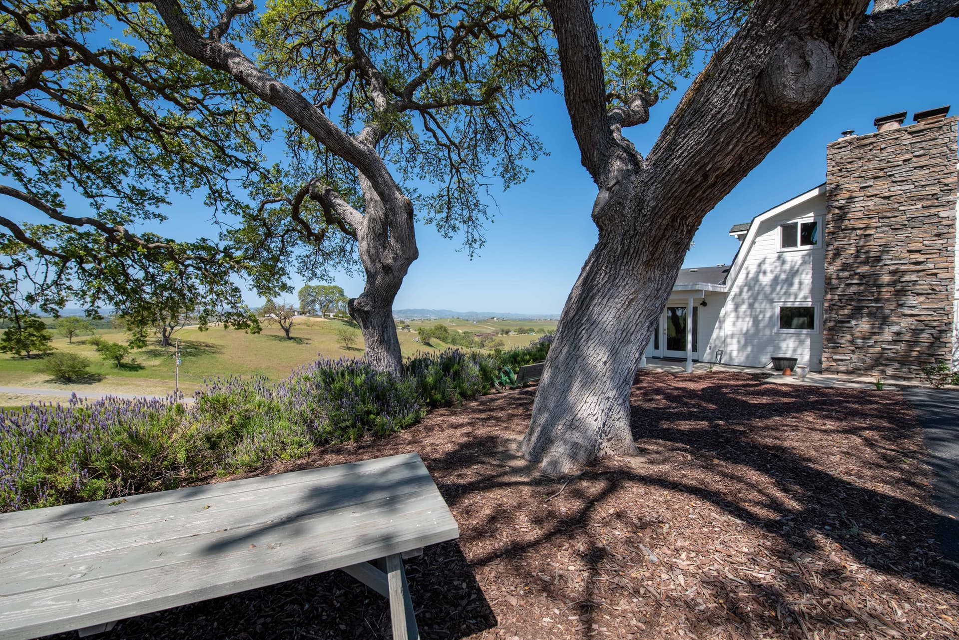 Hidden Acre Vineyard Estate - Image 14