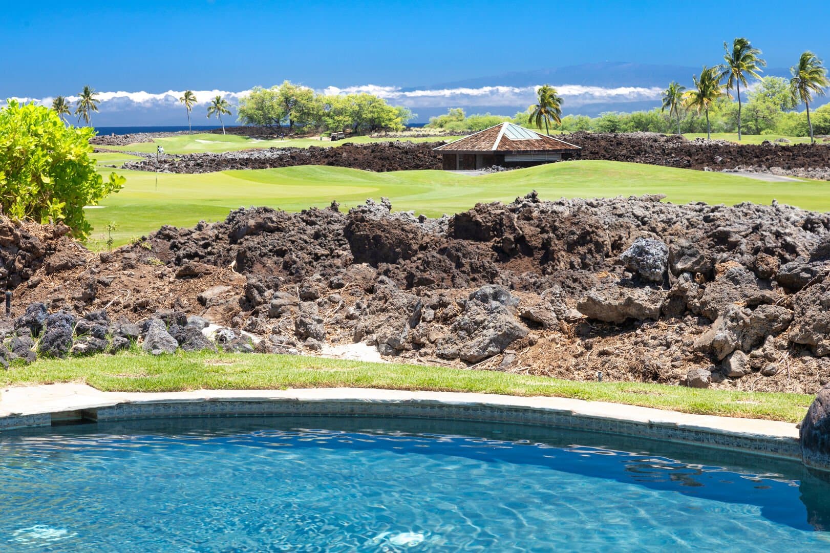 One Ocean Ohana - Image 55