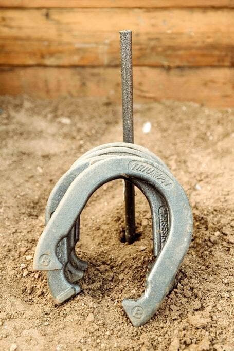 Joshua Tree Vista - Image 18