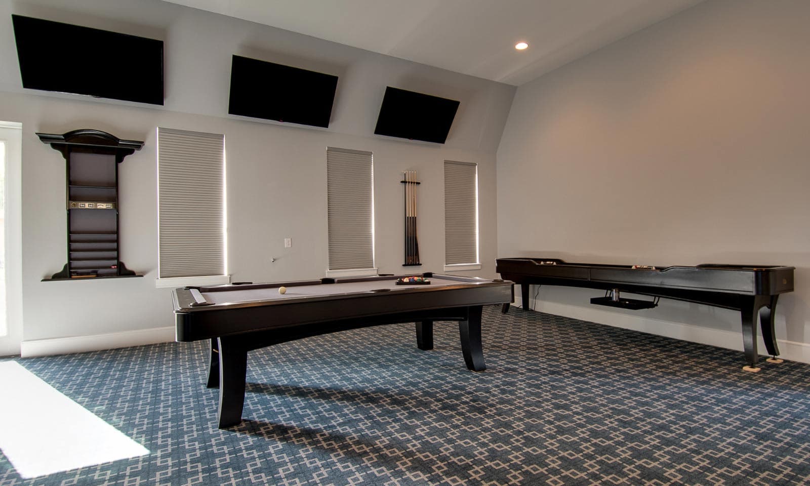 The Outstanding Oasis - Image 3