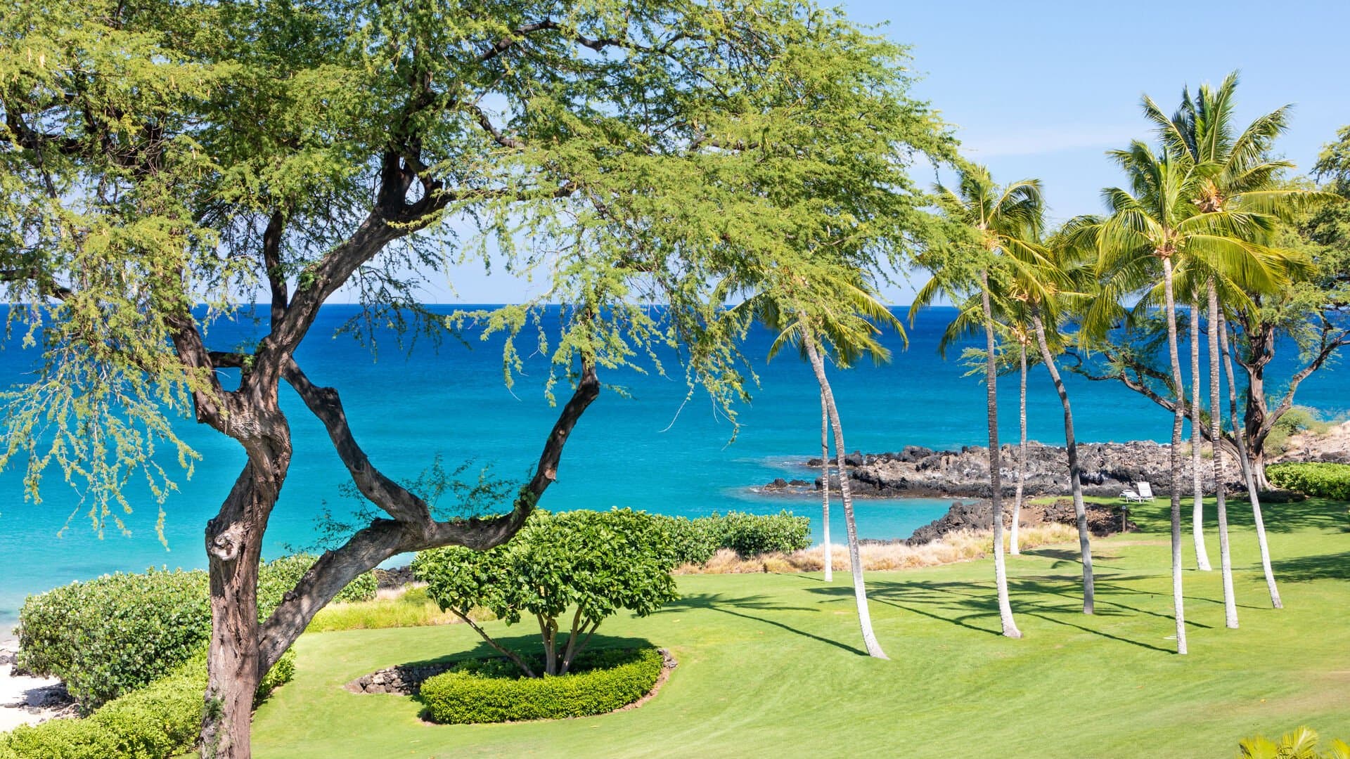 Hapuna Sunsets - Image 35