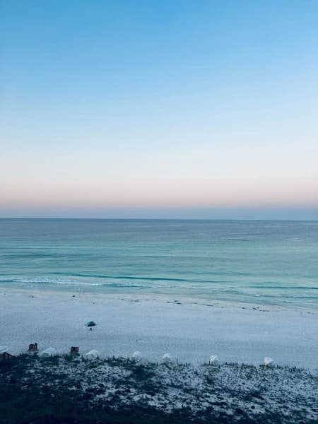 Coral Starfish - Image 42