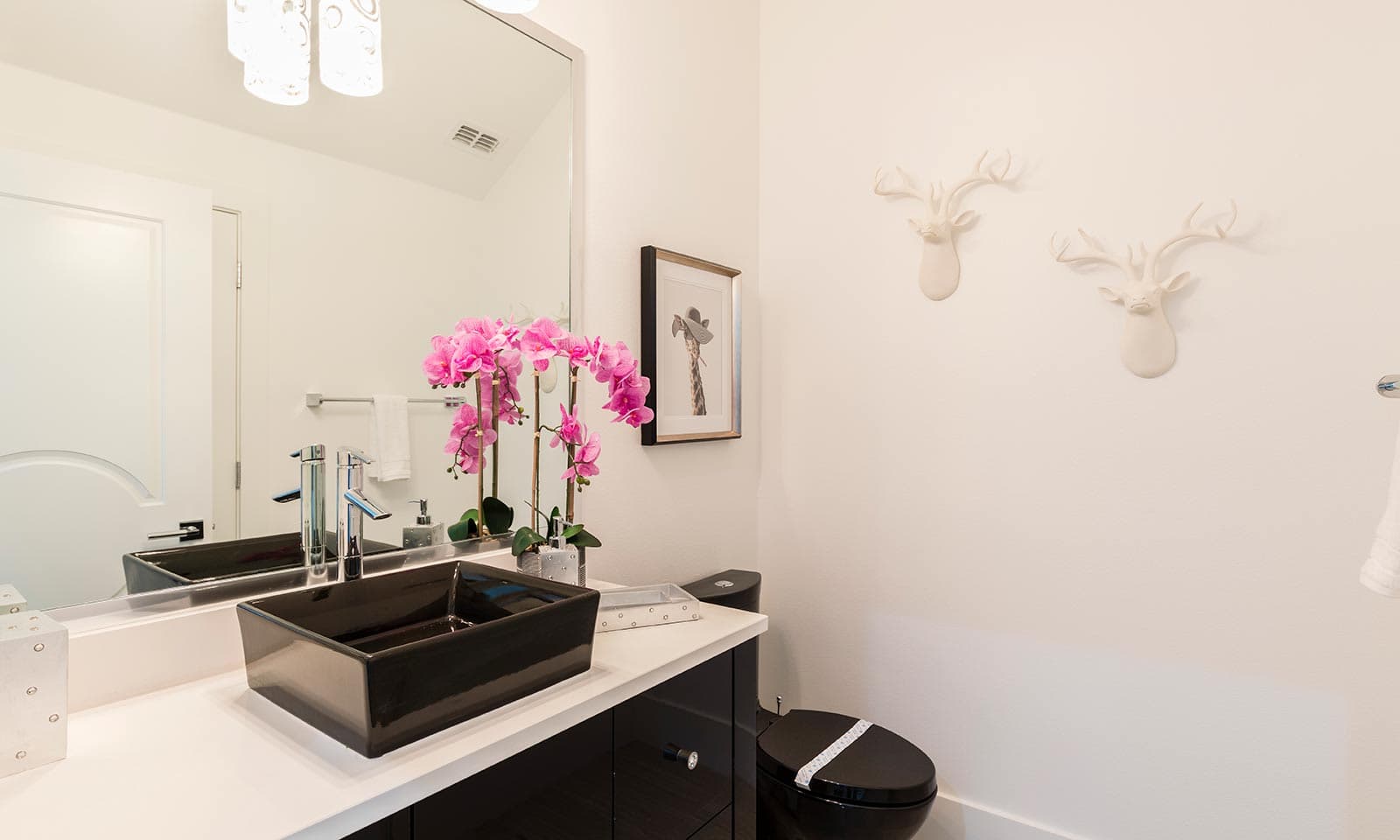 Animal Abode - Image 42