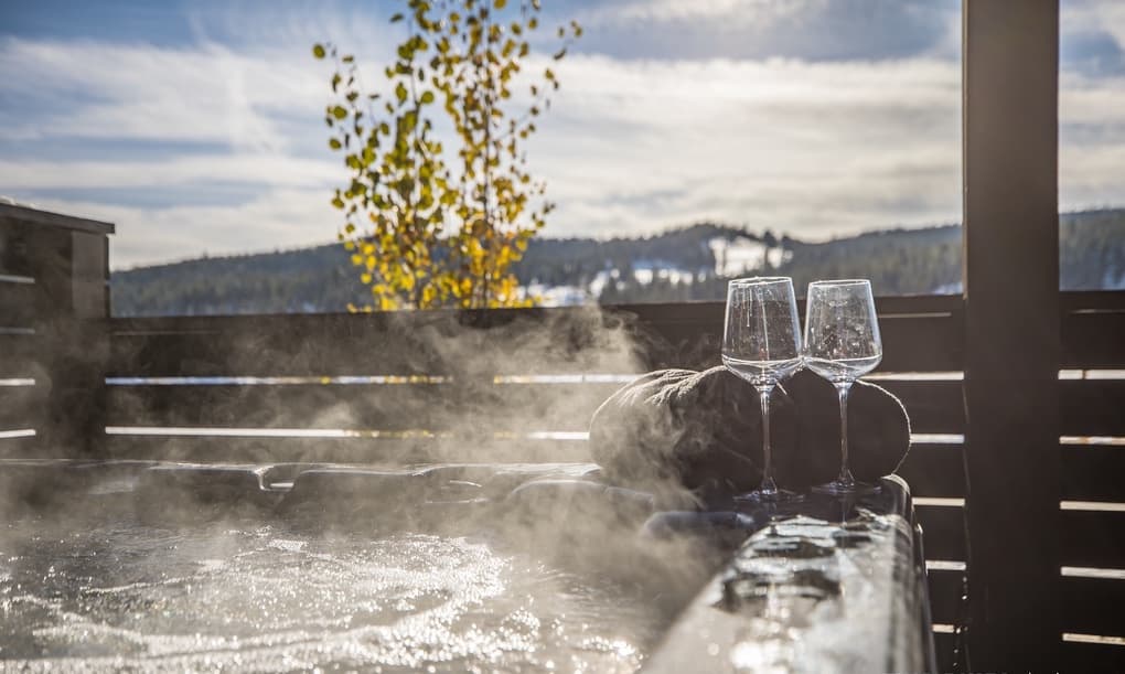 Pheasant Tail #225A - Image 2