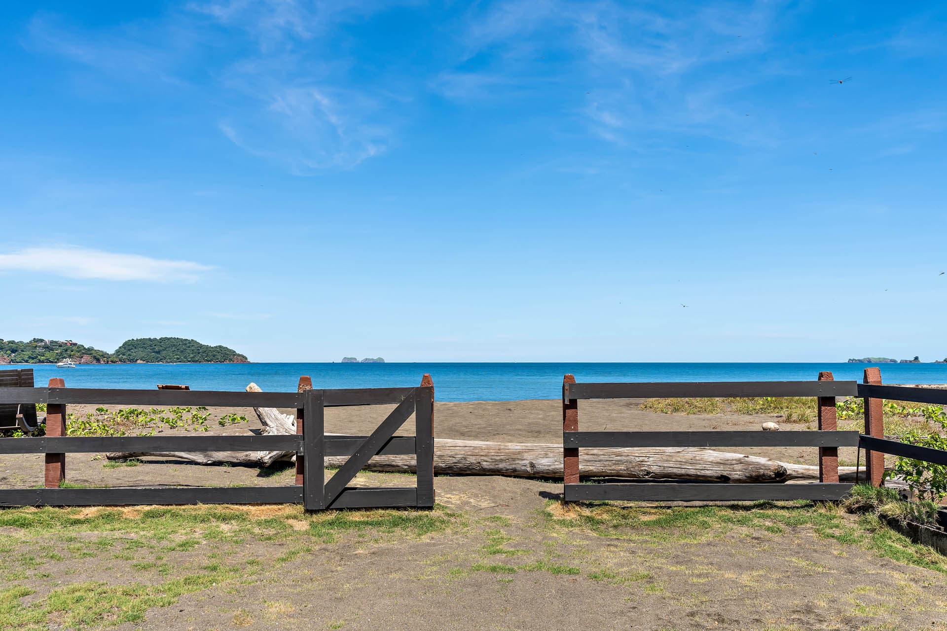 Twin Dolphins - Image 21