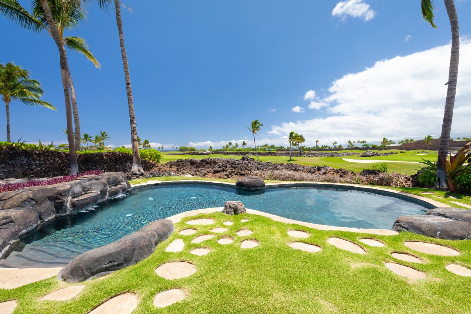 One Ocean Ohana - Image 49