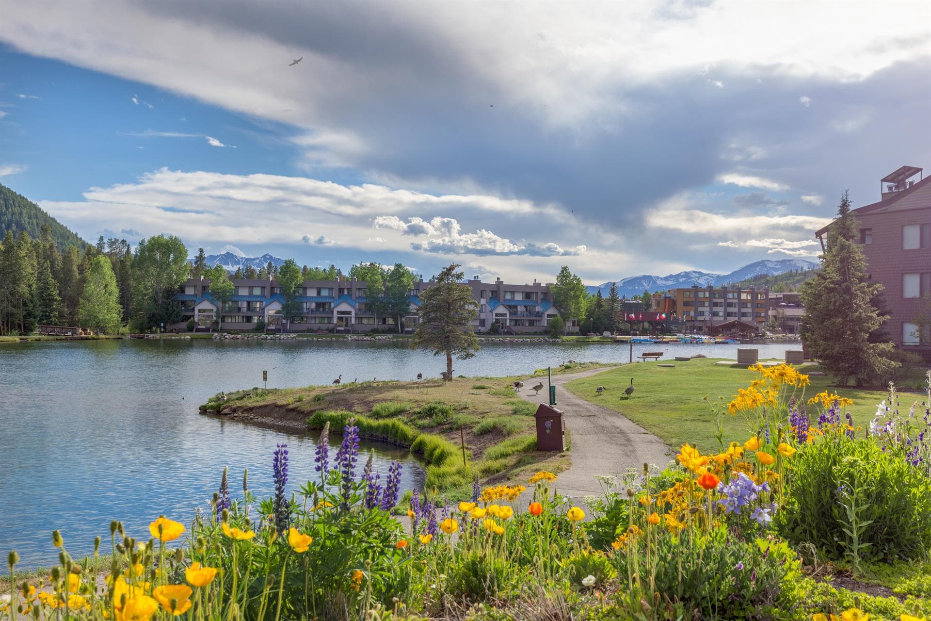 Willows Residence - Image 29