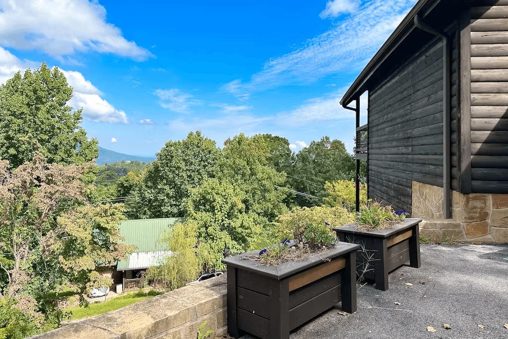 Little Black Bear Retreat - Image 18