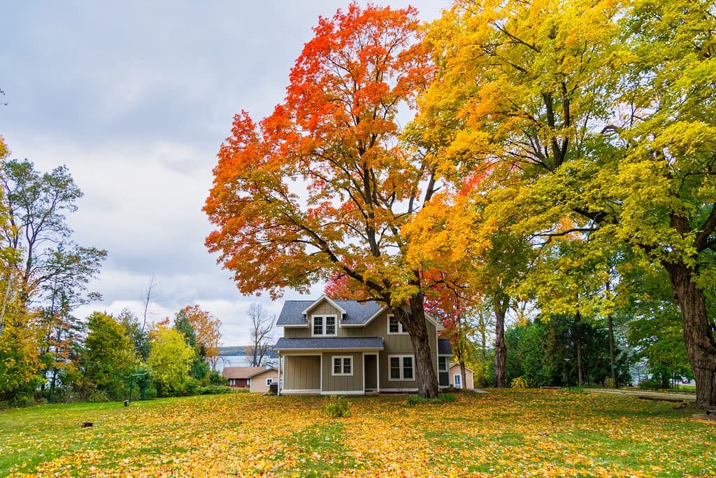 Thenell's Beach House - Image 56