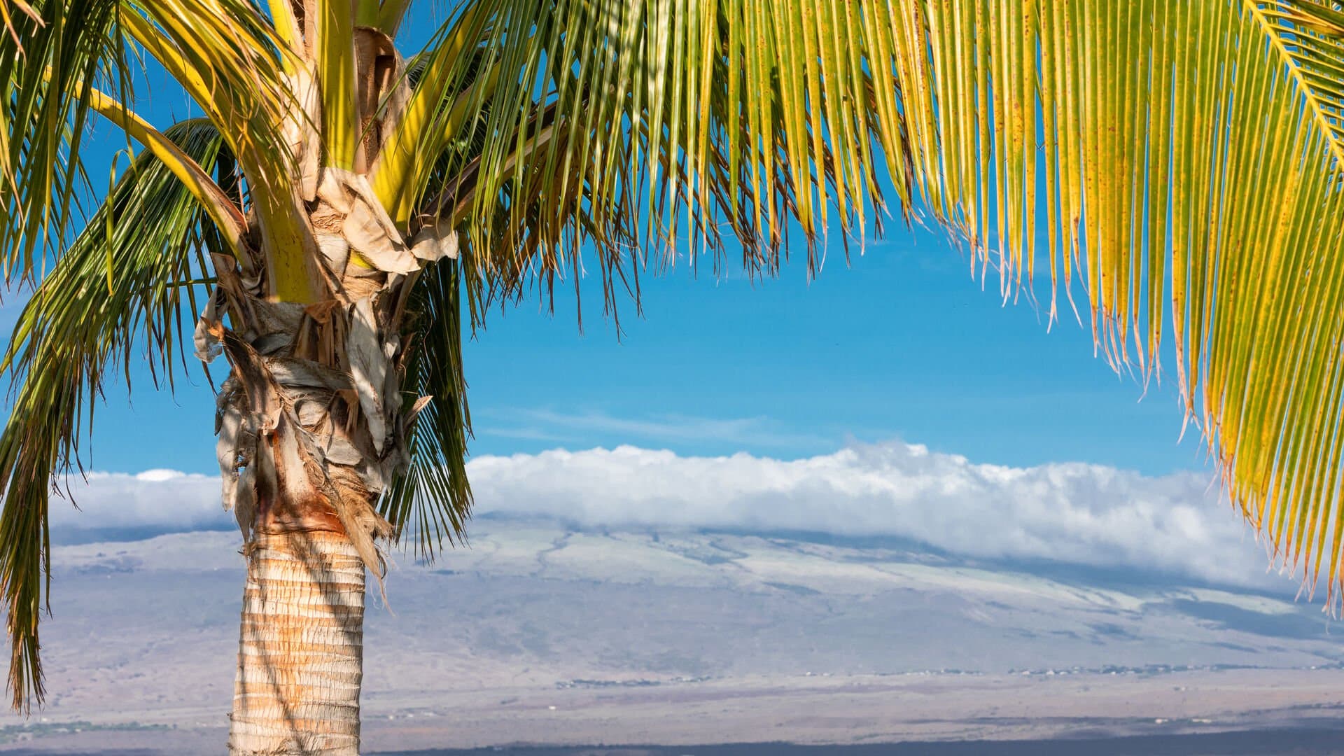 Starry Nights - Image 51