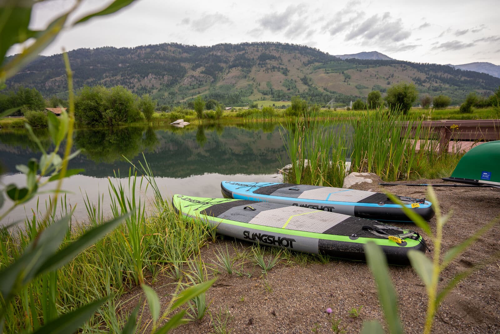 Open Meadows - Image 2