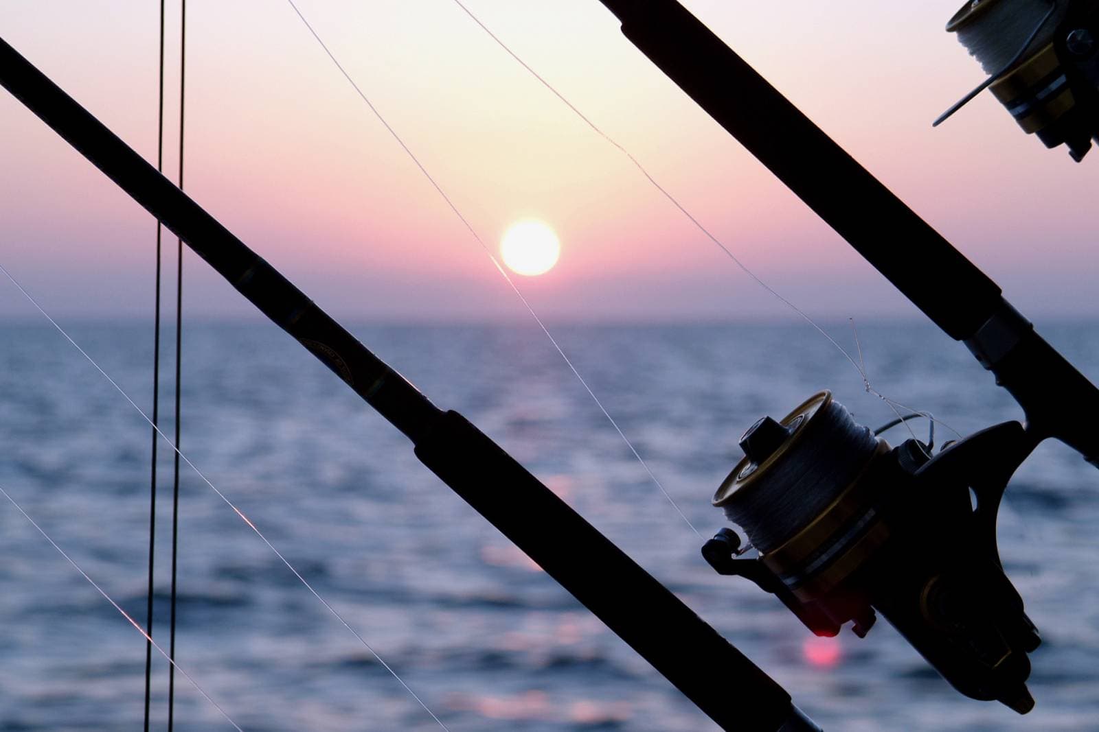 Casa Mojito - Image 38