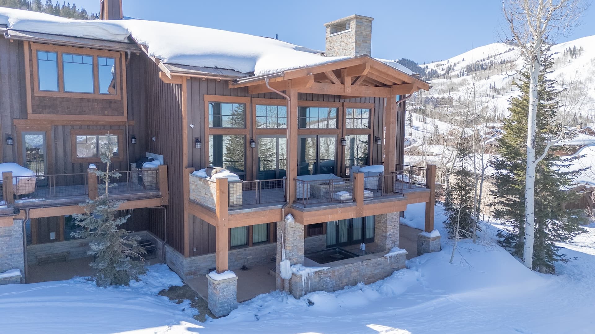 Silver Buck - Image 55