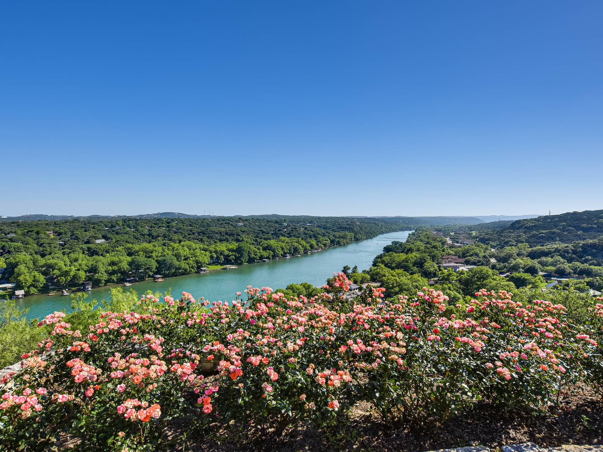 Lakeview on Lake Austin - Image 33