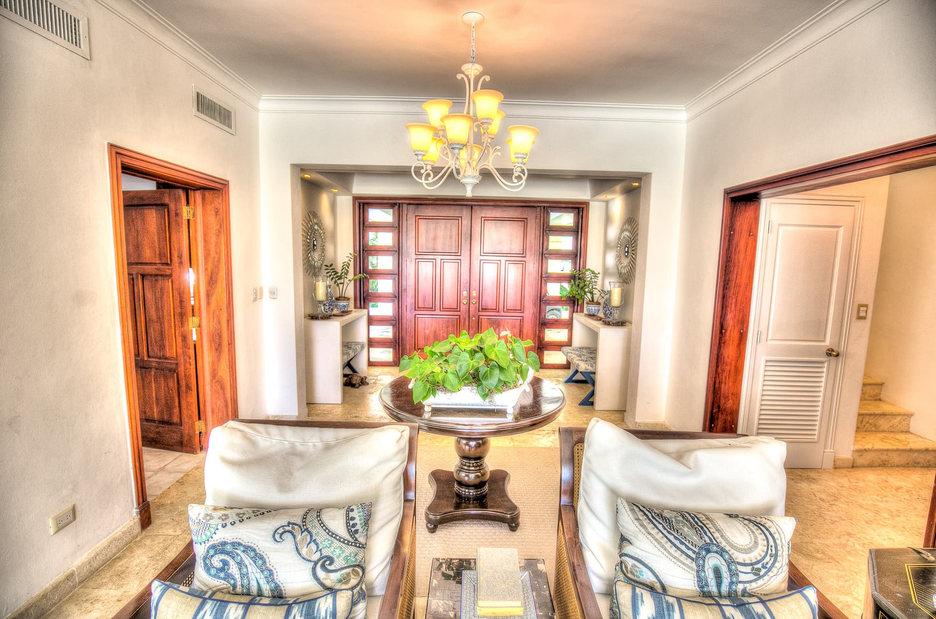 Tortuga Azul - Image 2