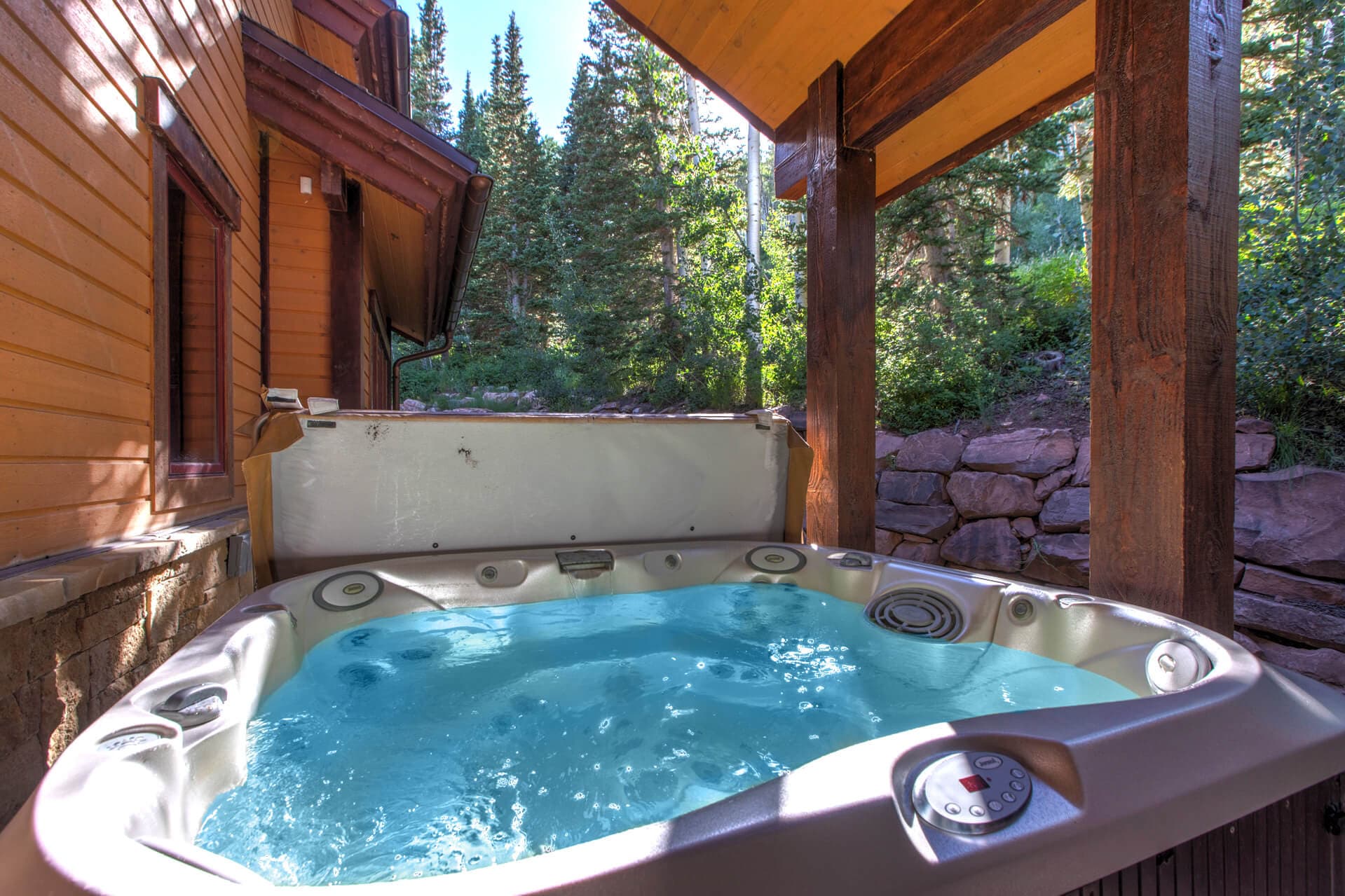 White Pine #129 - Image 2