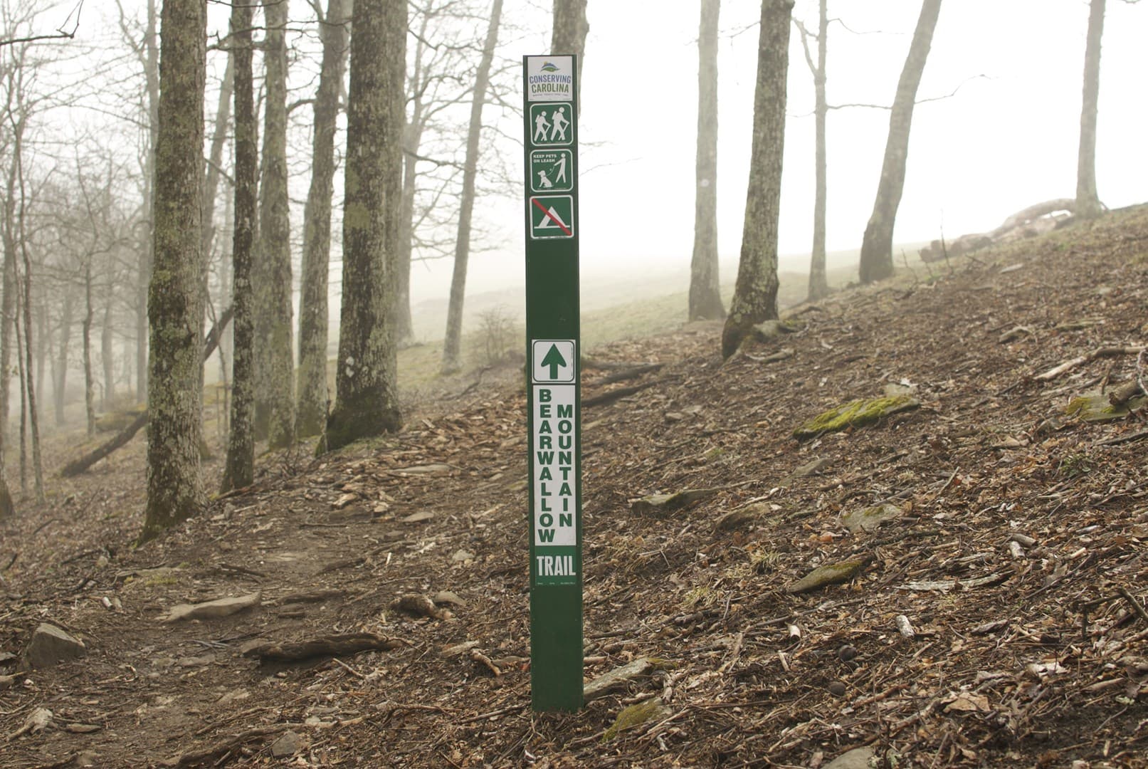 Winters Haven - Image 38