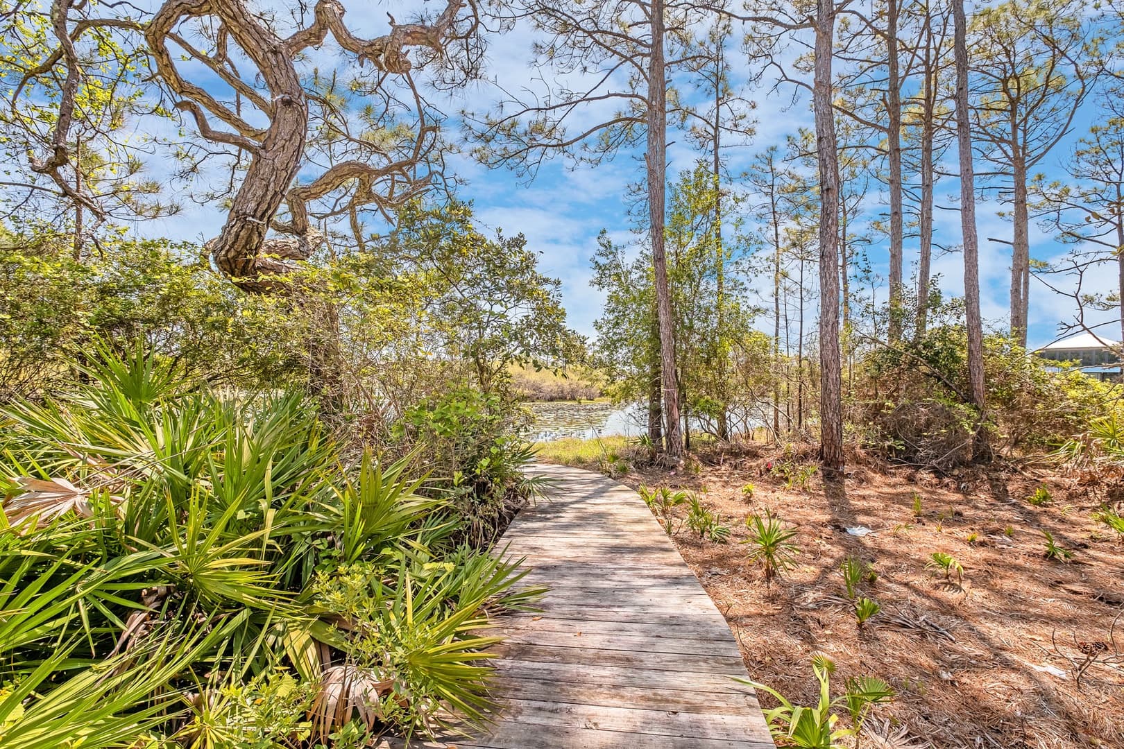 Timeless 30A - Image 32