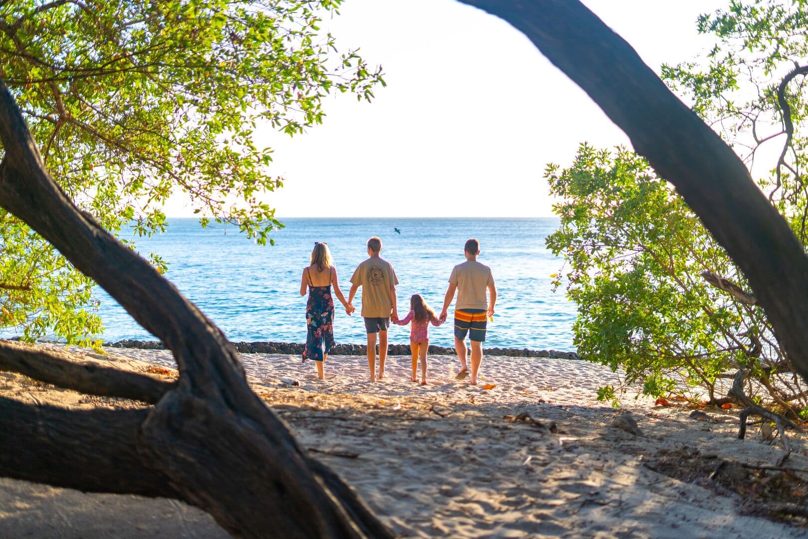 Casa De Luz - Image 51