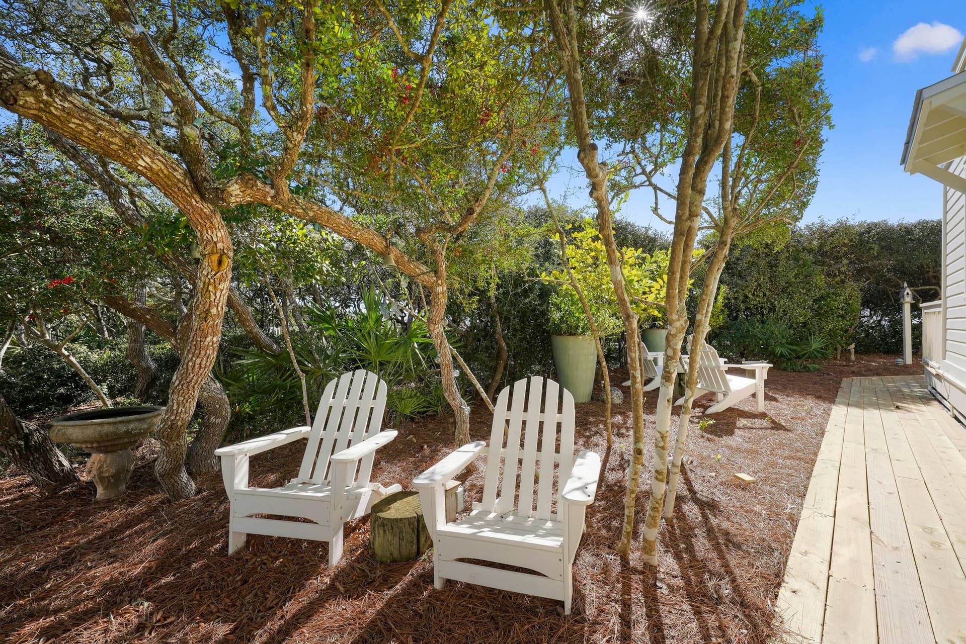 Southern Exposure - Image 34