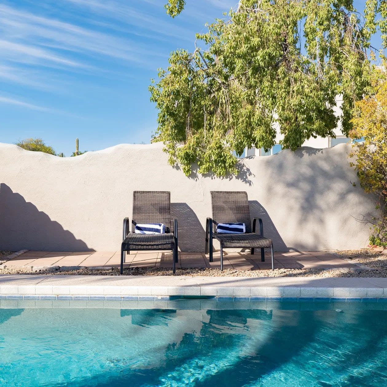 Sonoran Sunshine - Image 28