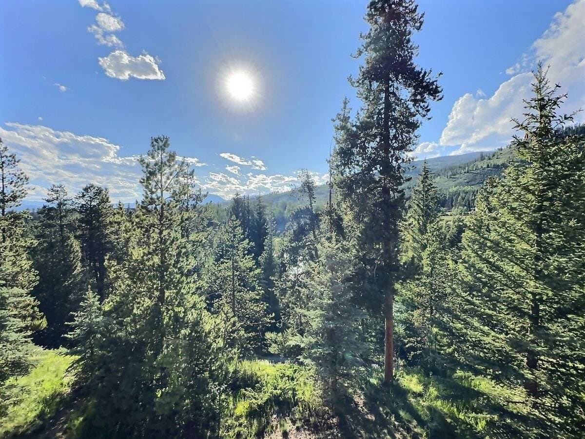 Four Sisters - Image 38