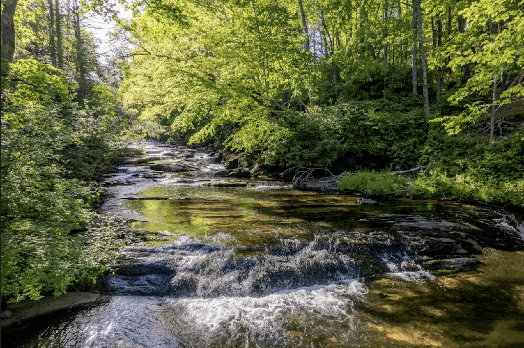 Whispering Creek - Image 37