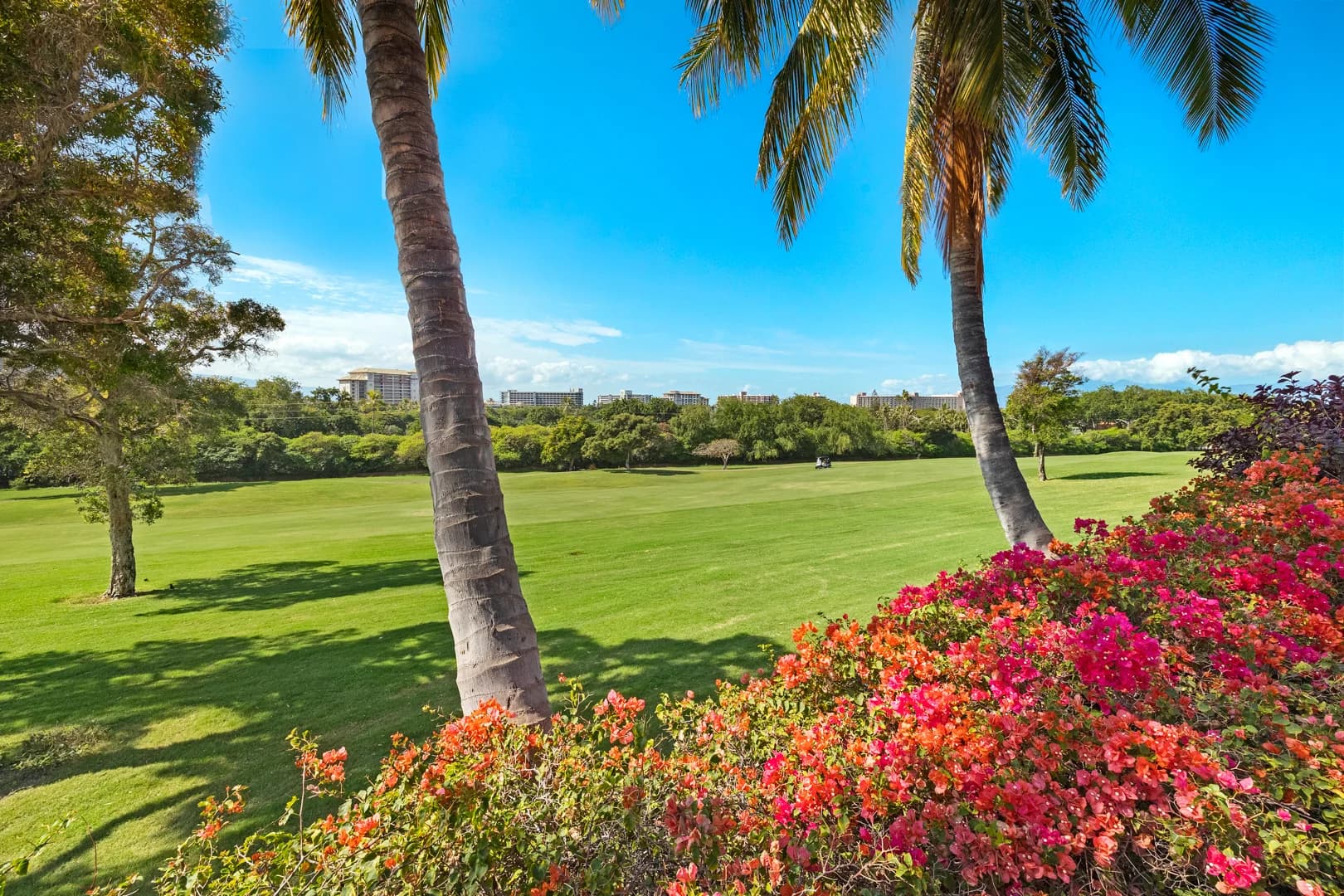 Hale Holokai Villa - Image 52