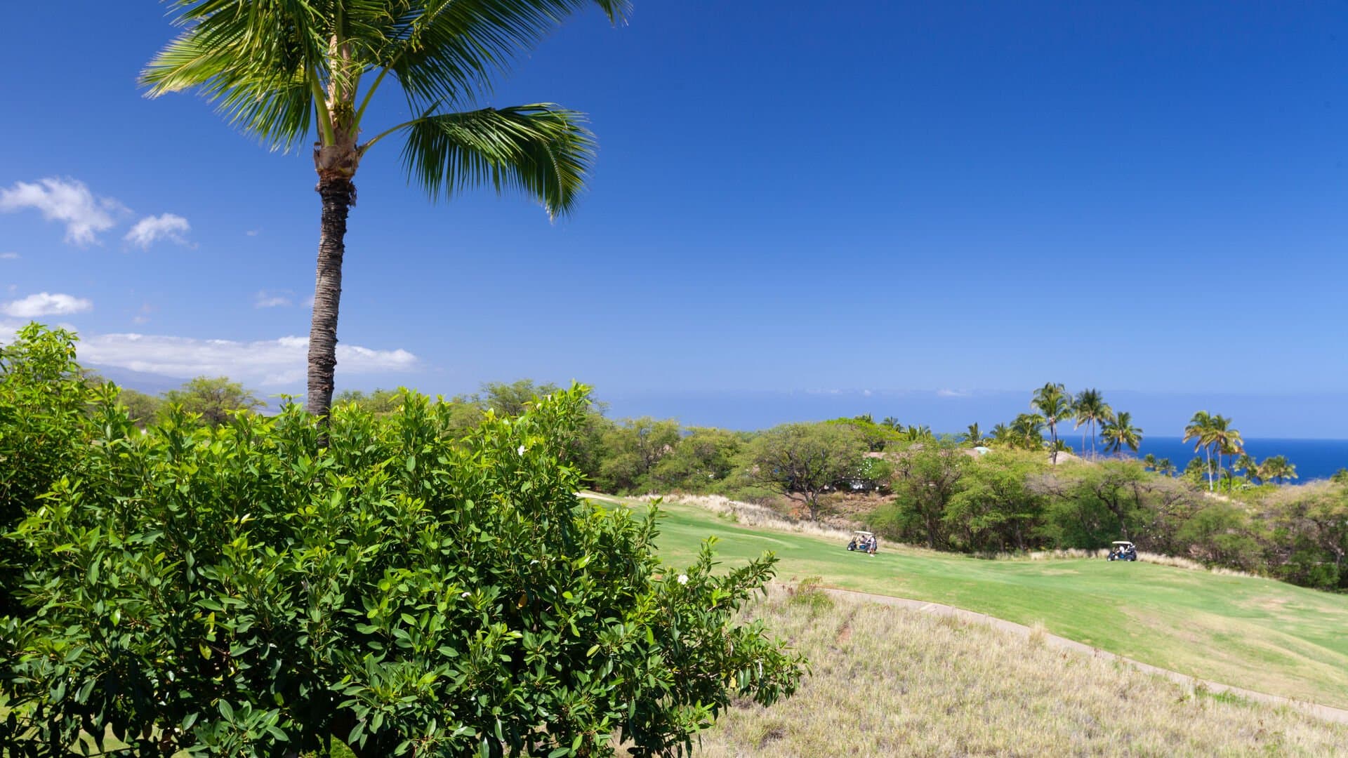 Mauna Kea Sunsets - Image 42