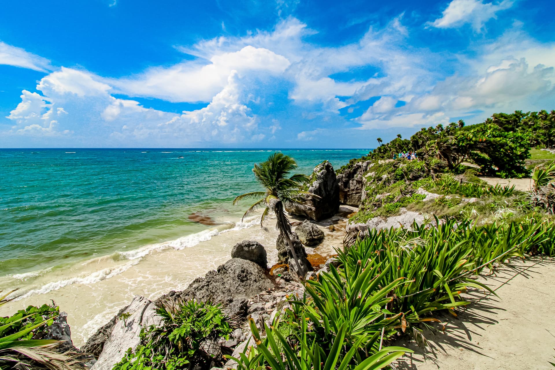 Katia Condos - Image 4