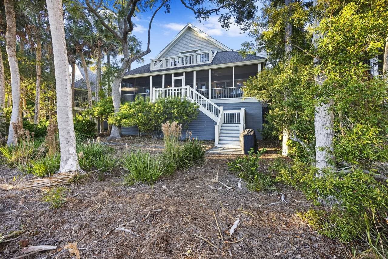 Silver Moss - Image 38