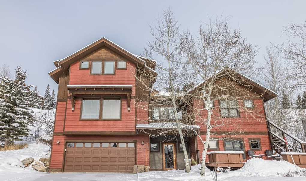 Little Coyote #2573 - Image 31