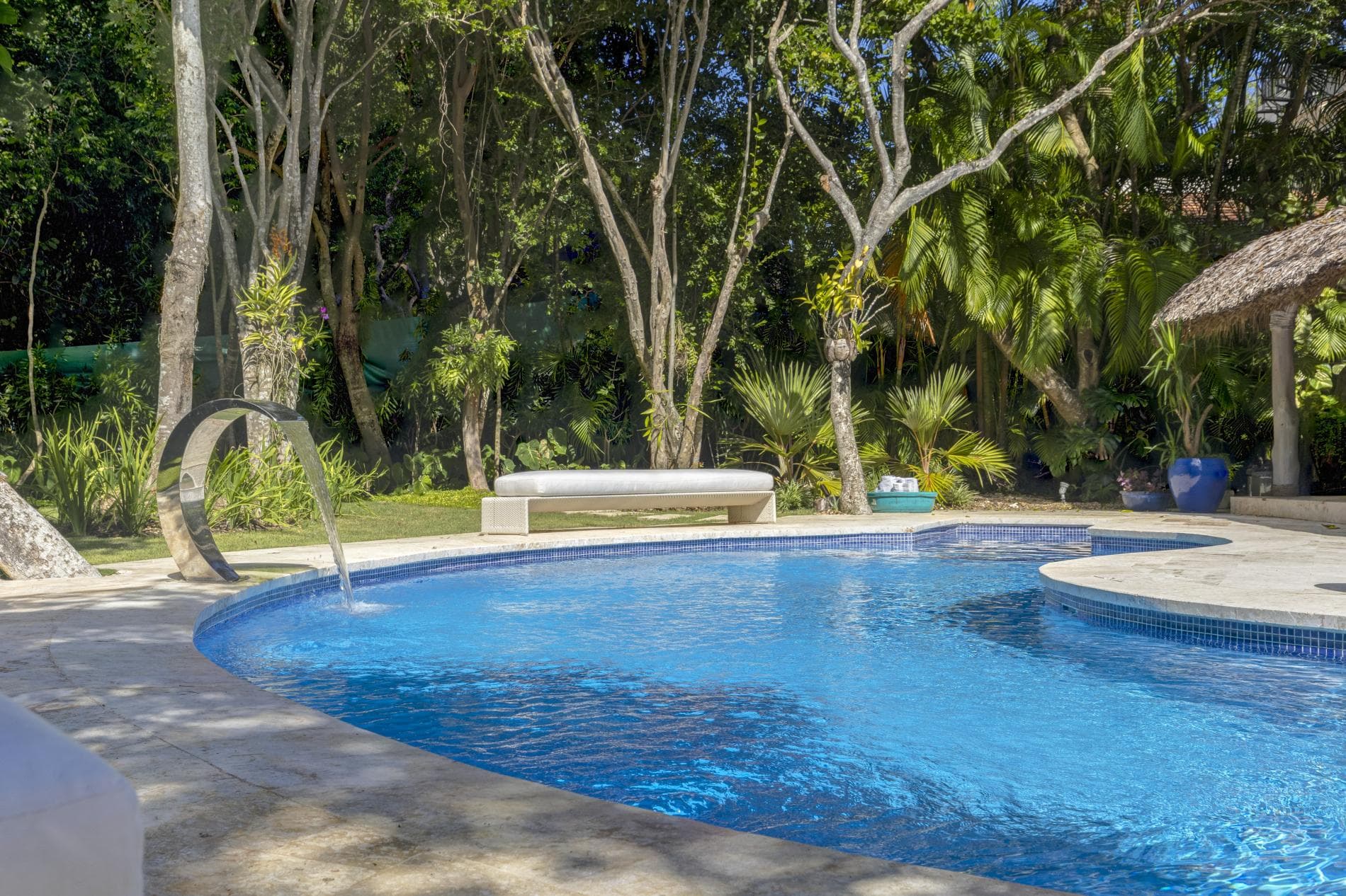 Tortuga #B55 - Image 31