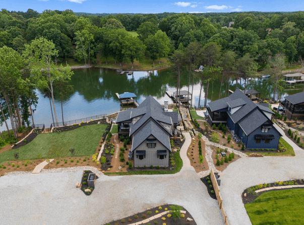 Blue Heron & Gray Fox - Image 158