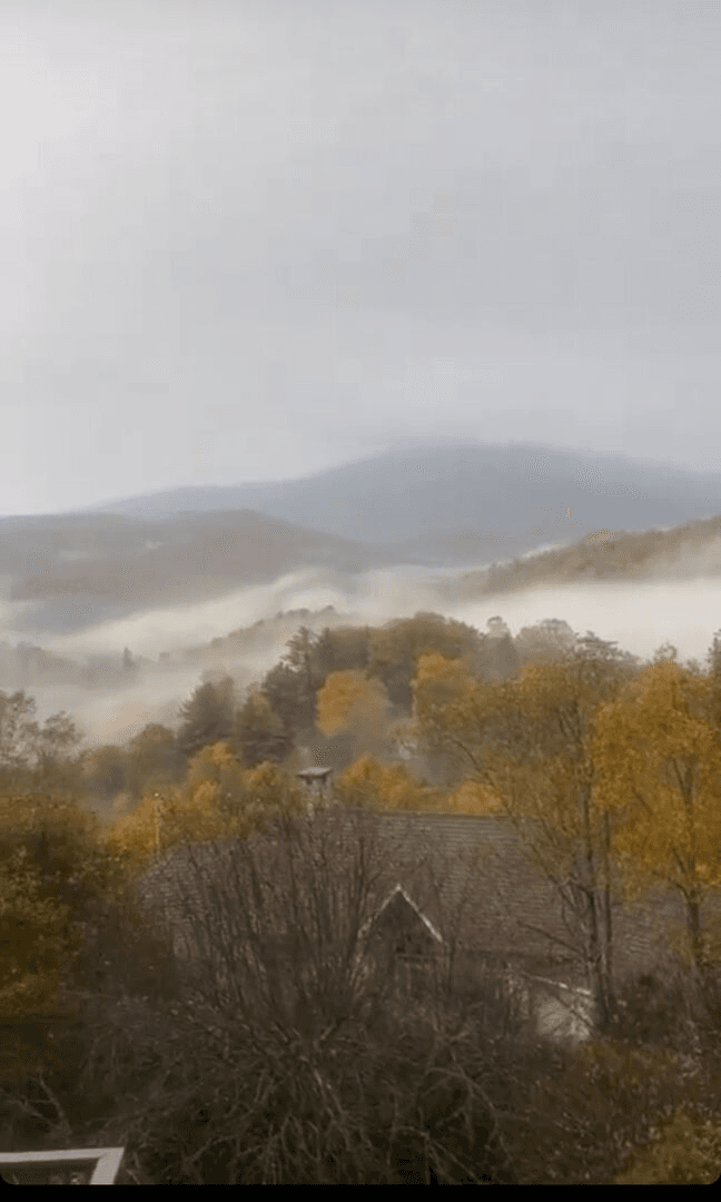 Hawthorn House - Image 12