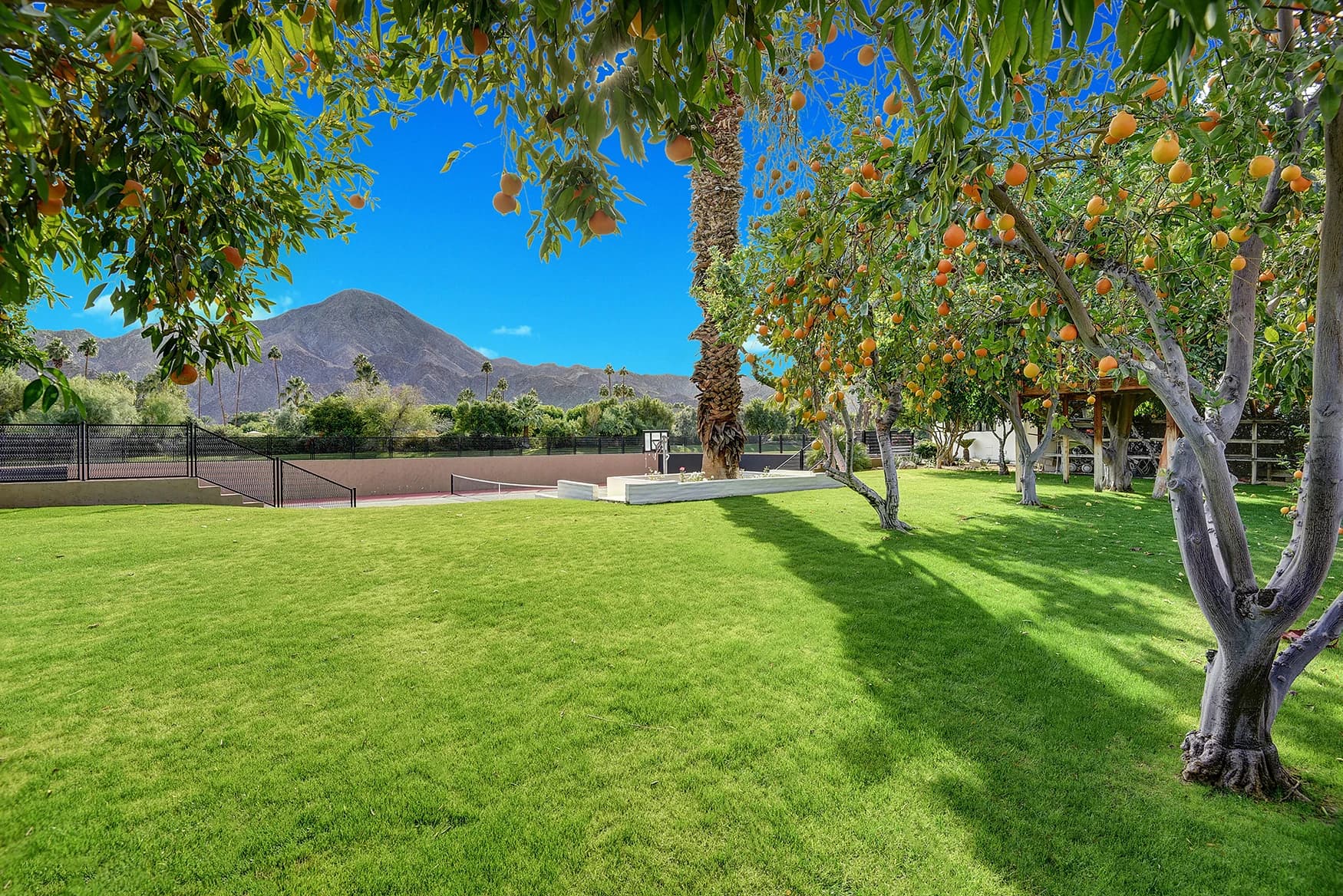 Dorado Vida Estate - Image 43