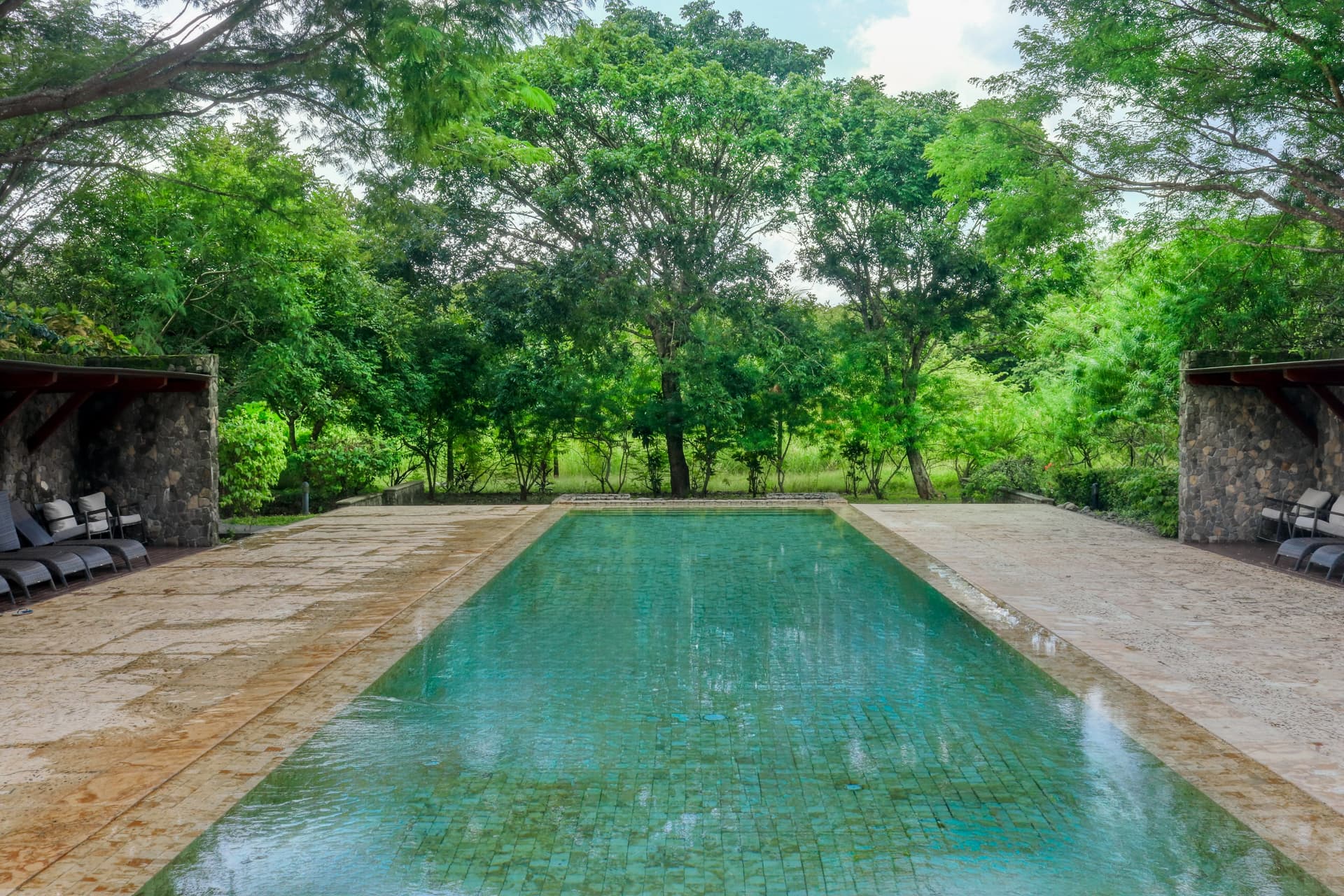 Pinilla Flor de Malinche - Image 46